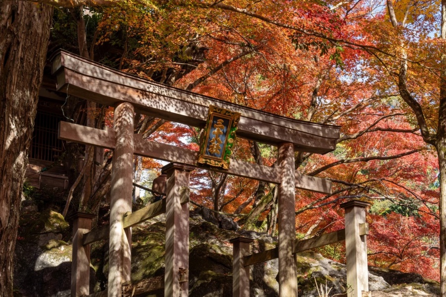 🍁📍【石山寺｜红叶×紫式部×致光之君】📖✨_9_AmazingNing_来自小红书网页版.jpg