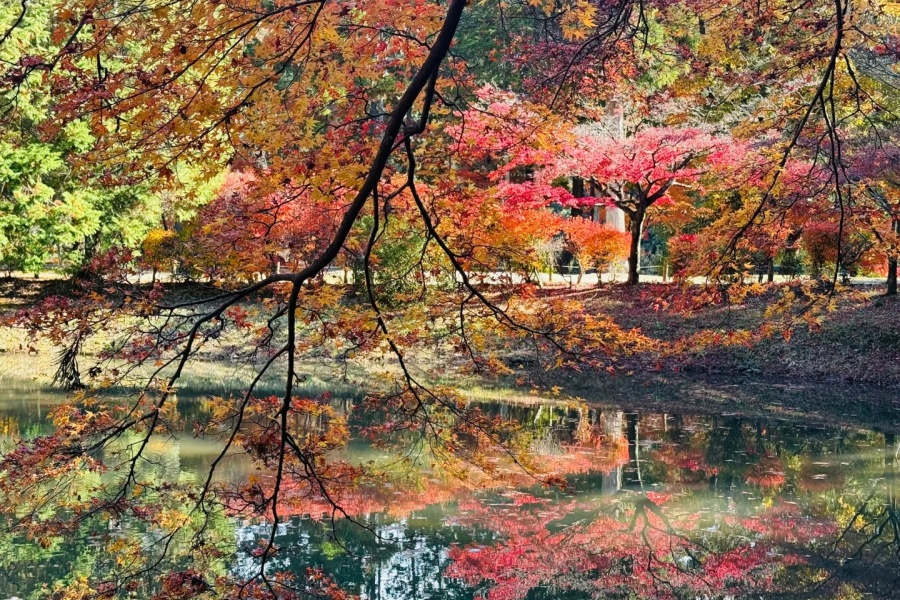 虎 (2).jpg