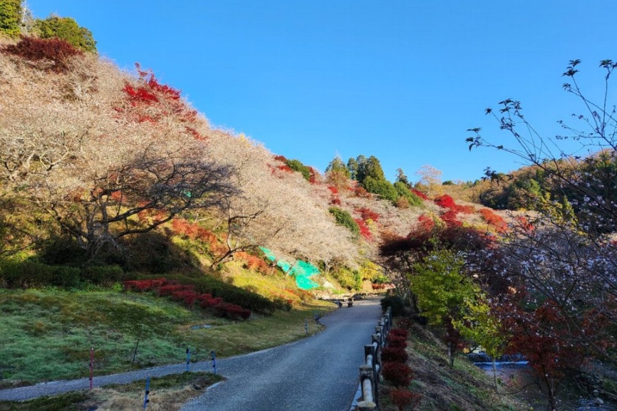 川村.jpg