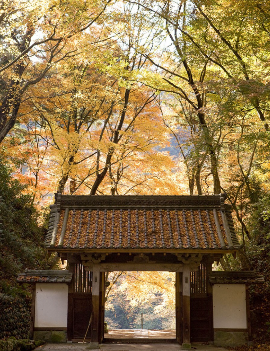 屏幕截图 2025-10-22 133821.png