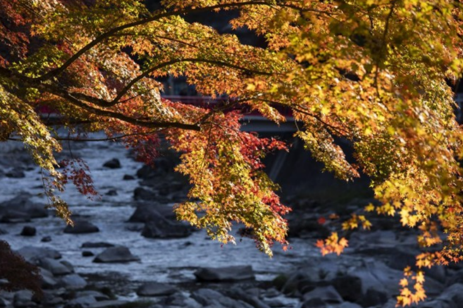 屏幕截图 2025-10-22 141901.png