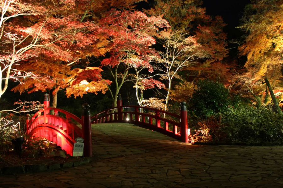 屏幕截图 2025-10-22 173852.png