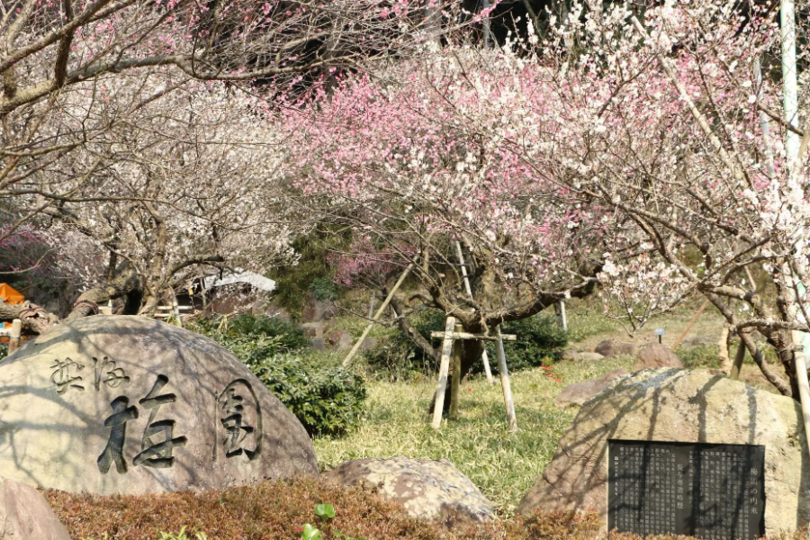 屏幕截图 2025-10-22 173732.png