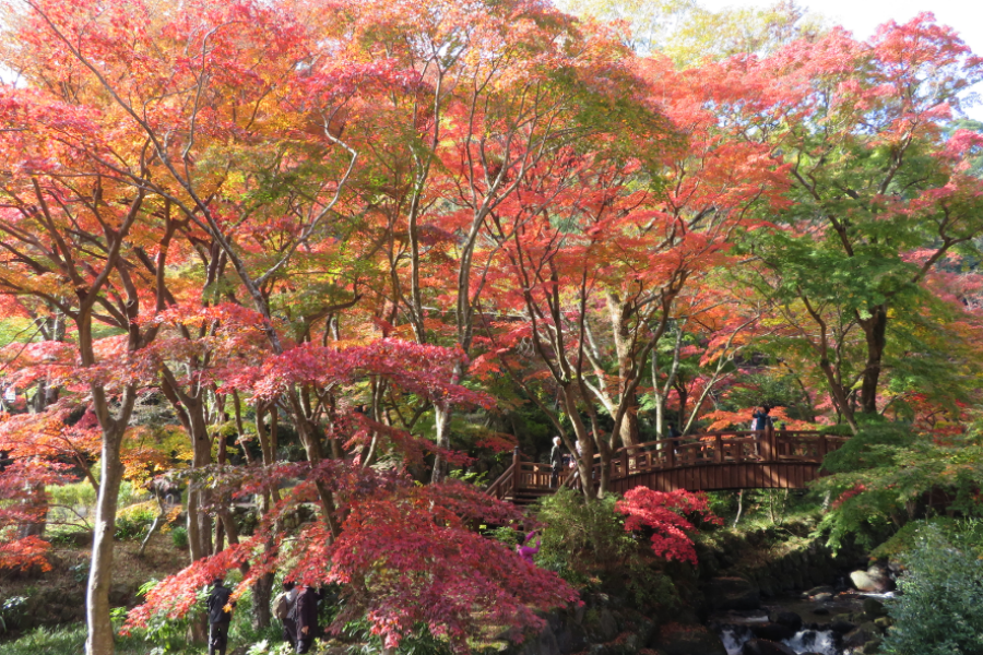 屏幕截图 2025-10-23 103743.png