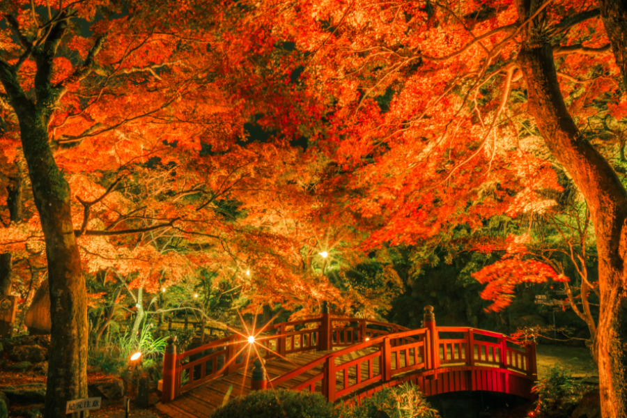 屏幕截图 2025-10-23 103810.png