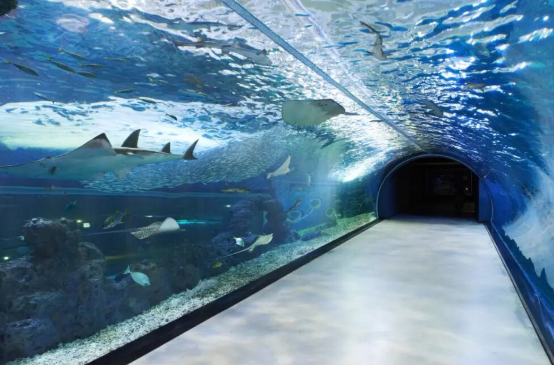 202510241147-4771327328.png image.png