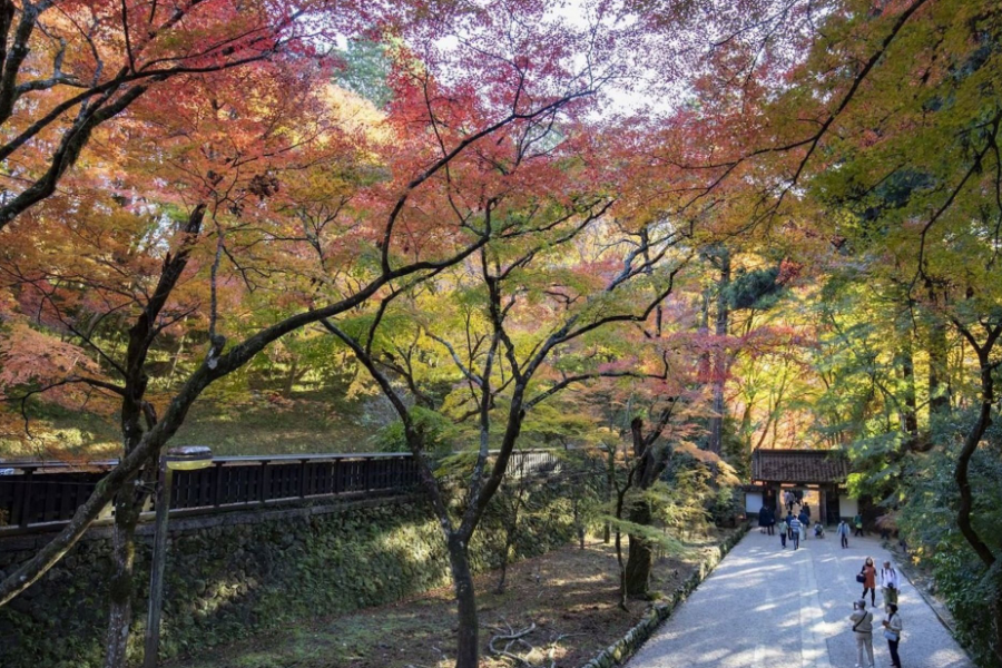 202510271016-1409784601.png 屏幕截图 2025-09-18 141019.png