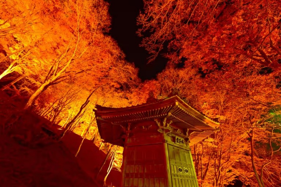 202510271016-1857247506.jpg 768x512ablur.jpg