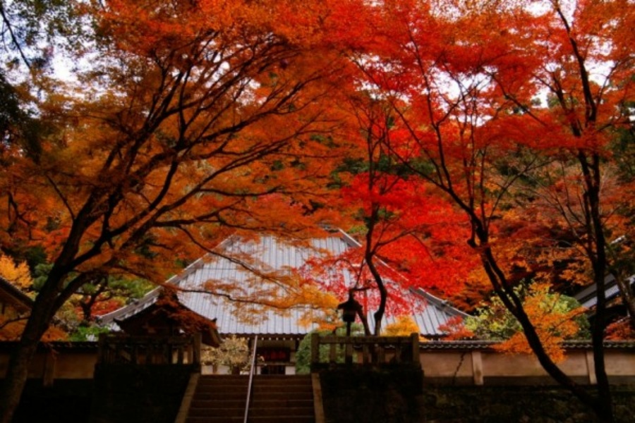 202510271016-7961056237.jpg 1691305142-large-5ad3ee8acd63e.jpg