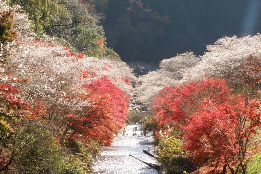 202510271144-1983435843.jpg d10b337d8df28e16fcc5211c63971a22.jpg