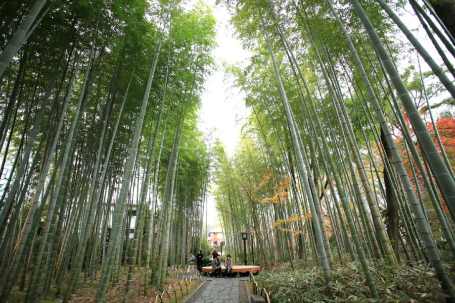 202510271419-1239210873.png 企业微信截图_17555932804425.png