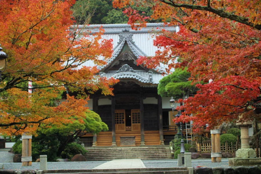 202510271419-3385796154.png 企业微信截图_17555932752400.png