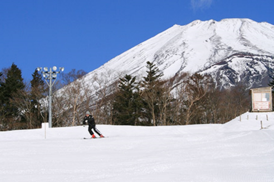 202510271615-5468376837.jpg d2.jpg