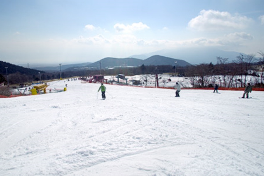 202510271615-6351821700.jpg a2.jpg