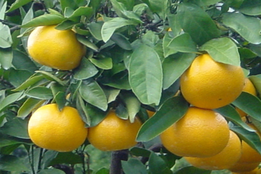 202510271728-8473257005.png img_04.png