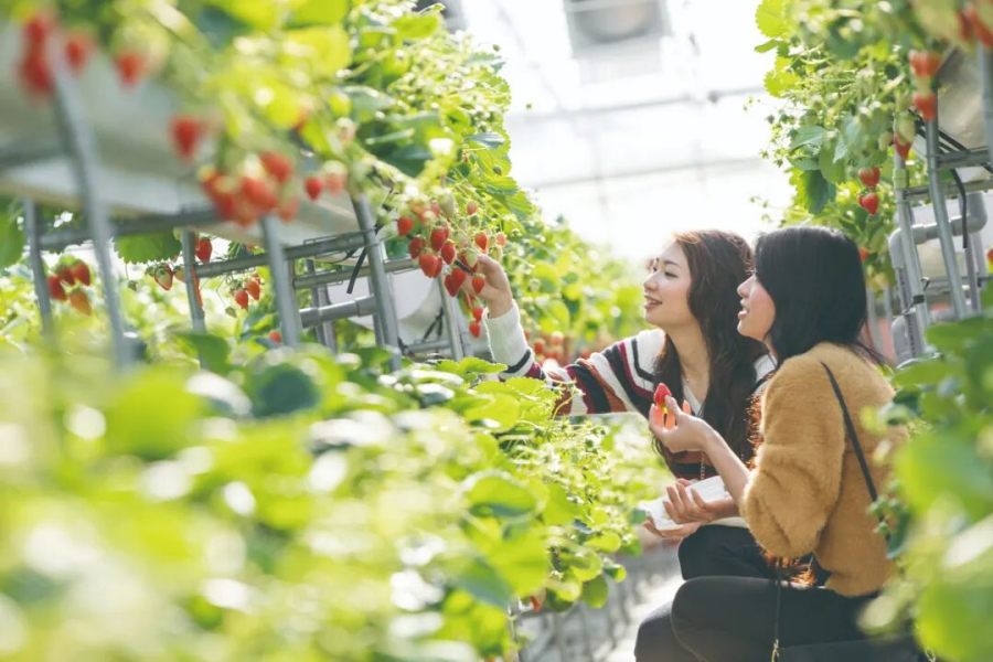 202510271748-2993176071.png 图片38.png