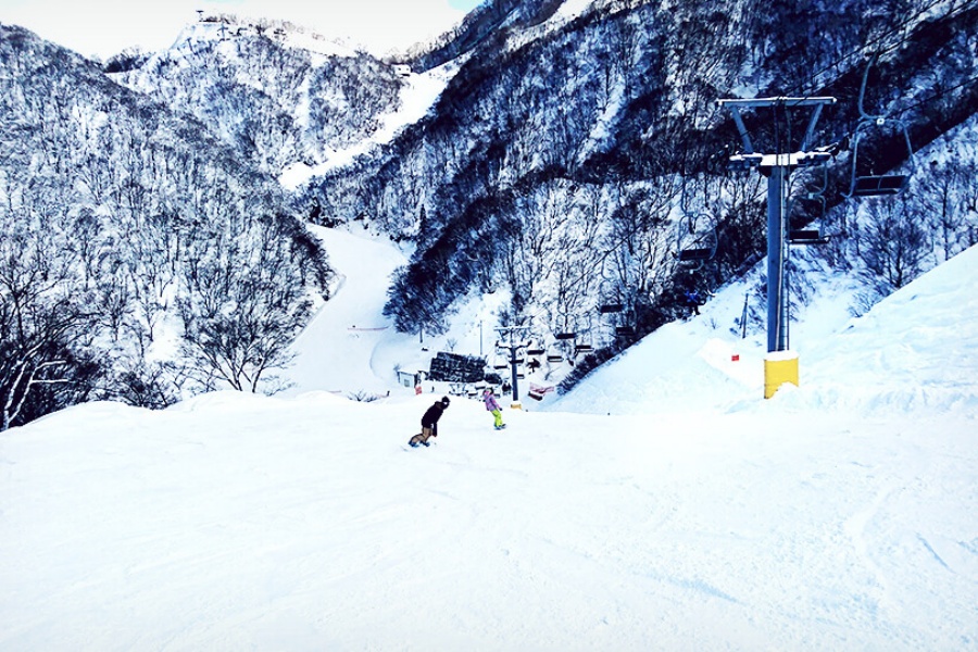 202510281103-3577427113.jpg img_04 (1).jpg