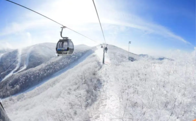 202510281338-7572762651.png image.png