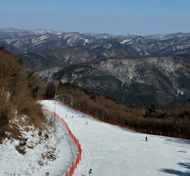 202510281346-2060930729.png image.png