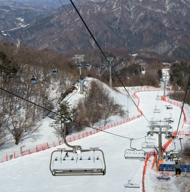 202510281346-2578319593.png image.png