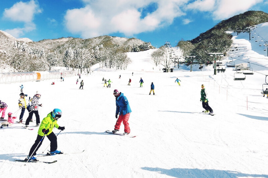 202510281630-3019776220.jpg img_02.jpg