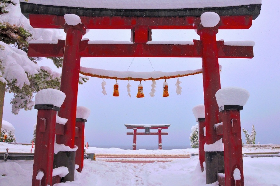 202510281724-5981679477.jpg atl_20240202182138_946.jpg