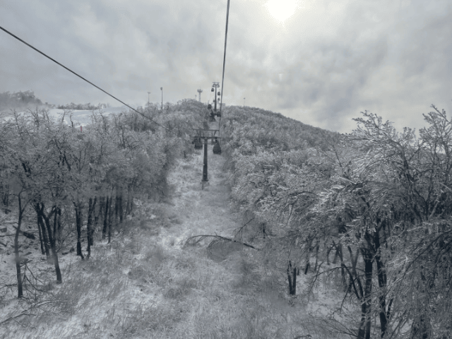 202510290940-3159062311.png image.png