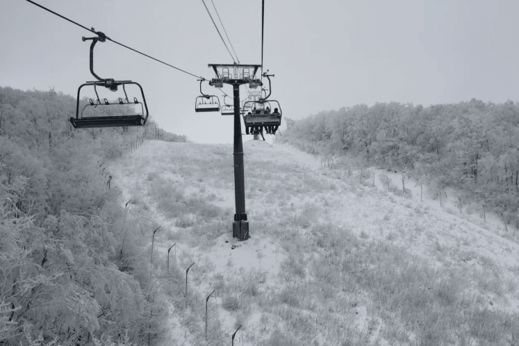 202510290958-1845299198.png image.png