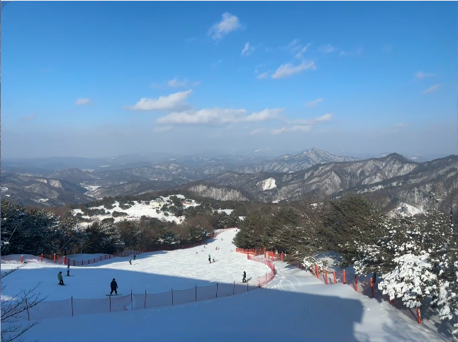 202510291018-1606698569.png image.png