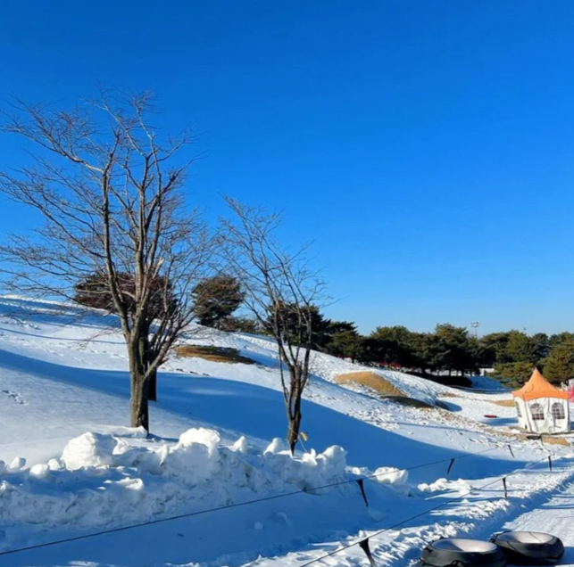 202510291037-4773580590.png image.png