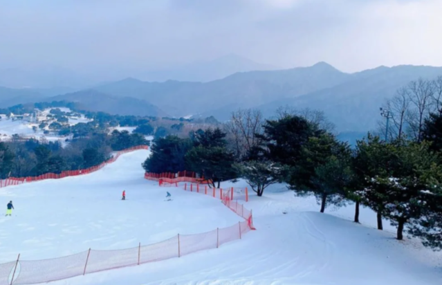 202510291039-1774473696.png image.png