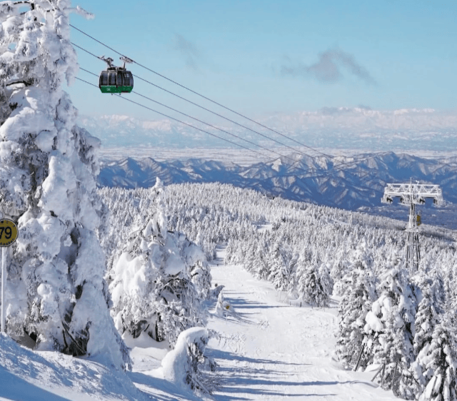 202510291054-6586946576.png image.png