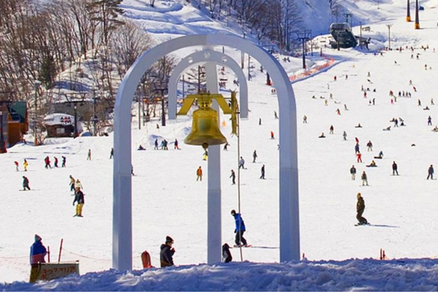 202510291424-4385951778.jpg 首图.jpg