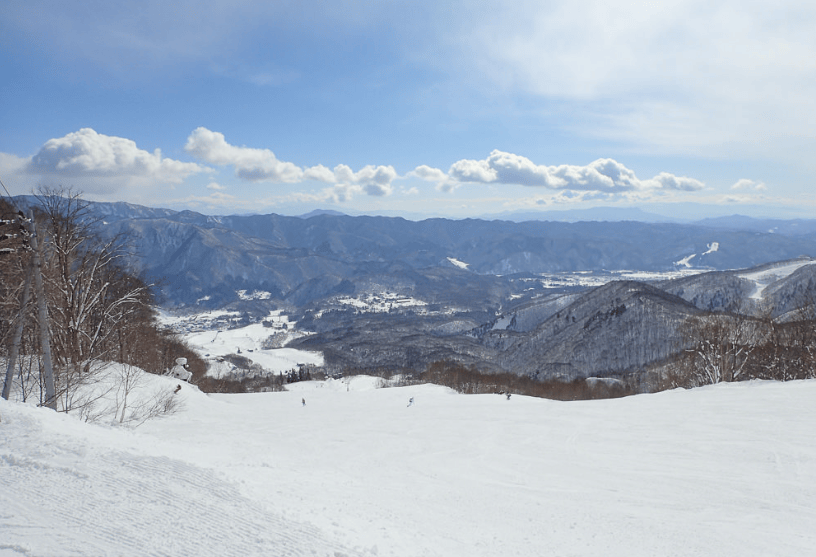 202510291437-6456264750.png 梅池.png