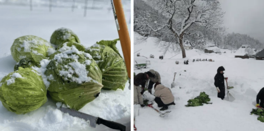 202510291446-2569909336.png 屏幕截图 2025-10-29 112744.png