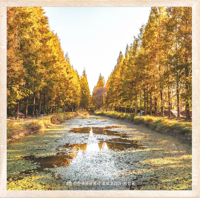 202510301329-1527628669.png image.png