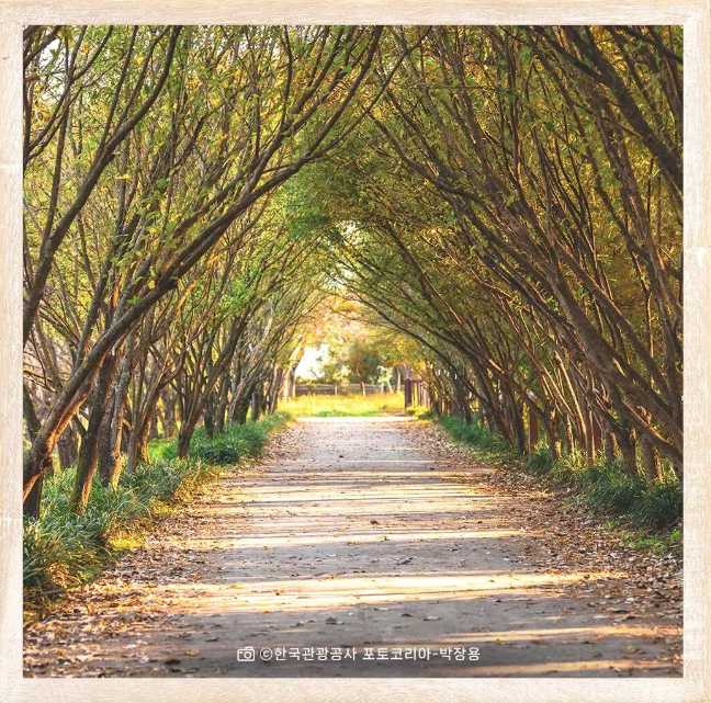 202510301329-1540006870.png image.png