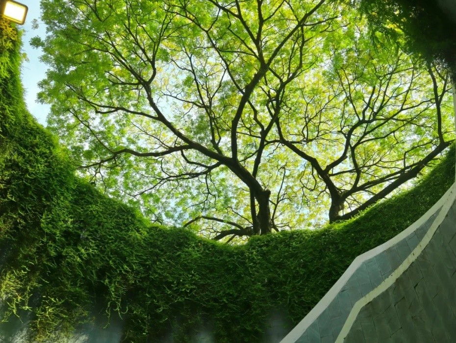 202510301337-8061299801.jpg 福康寧公園.jpg