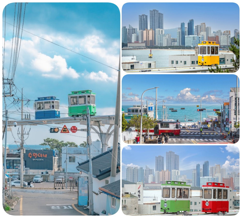 202510310947-3118066882.jpg 2.jpg