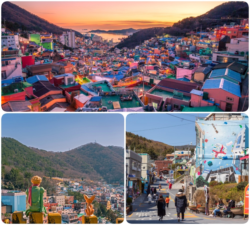 202510310947-4926160231.jpg 3.jpg