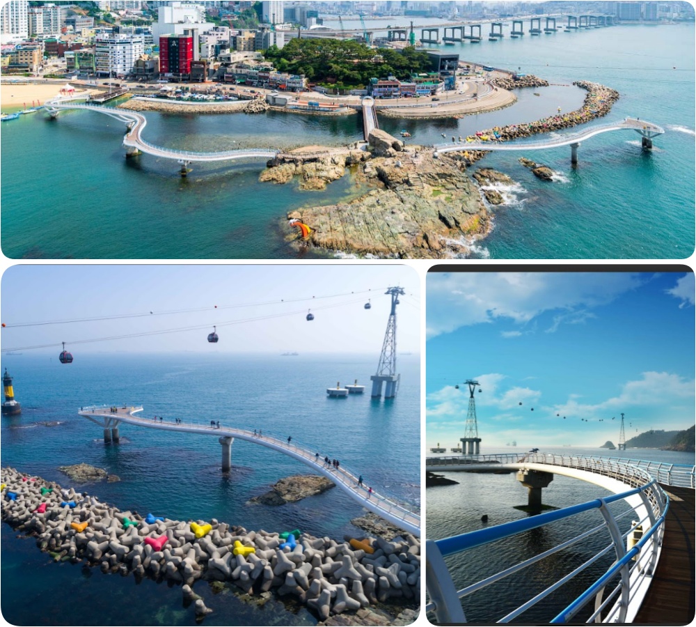 202510310948-4876539196.jpg 6.jpg