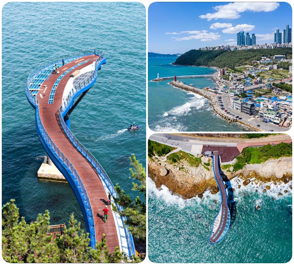 202510310949-9636205704.jpg 7.jpg