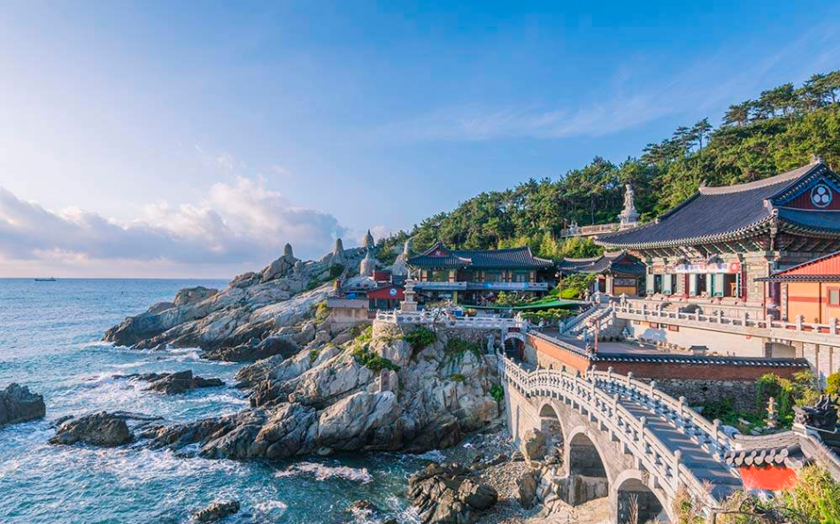 202510311015-9833862006.png image.png