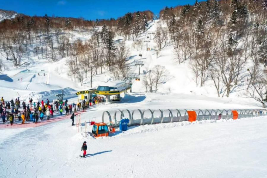 202510311143-2393171450.png 屏幕截图 2025-08-21 102306.png