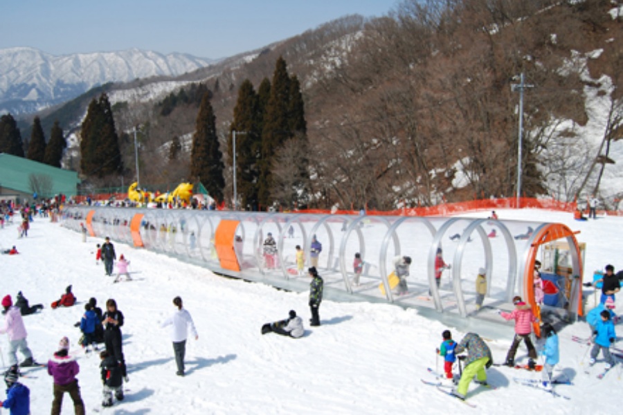 202510311148-1881652382.jpg activityi2_3_r0244.jpg