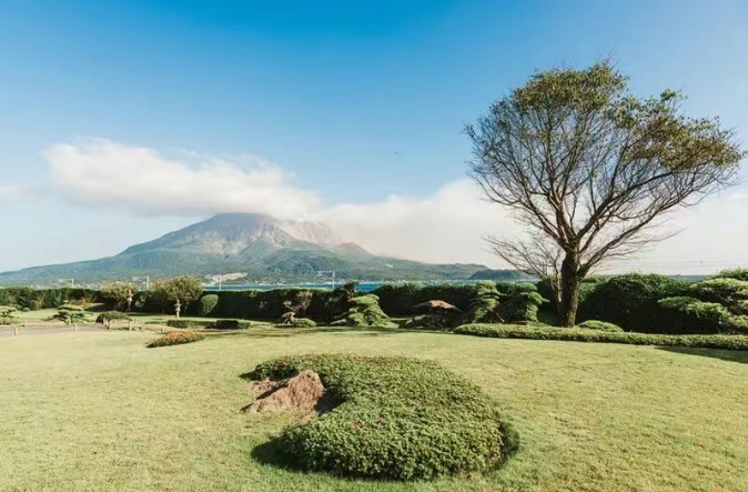 202510311322-7246650976.png image.png