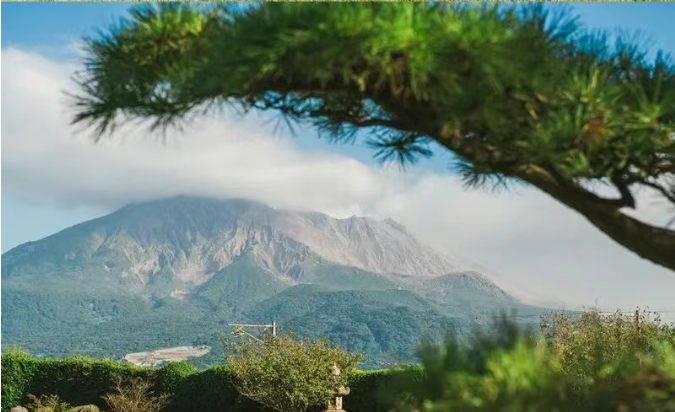 202510311323-3348706706.png image.png