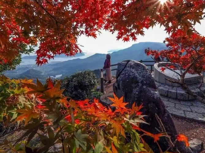 202510311354-6232282295.png image.png