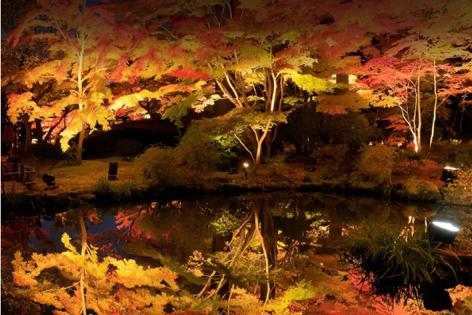 202510311400-2007019177.png image.png