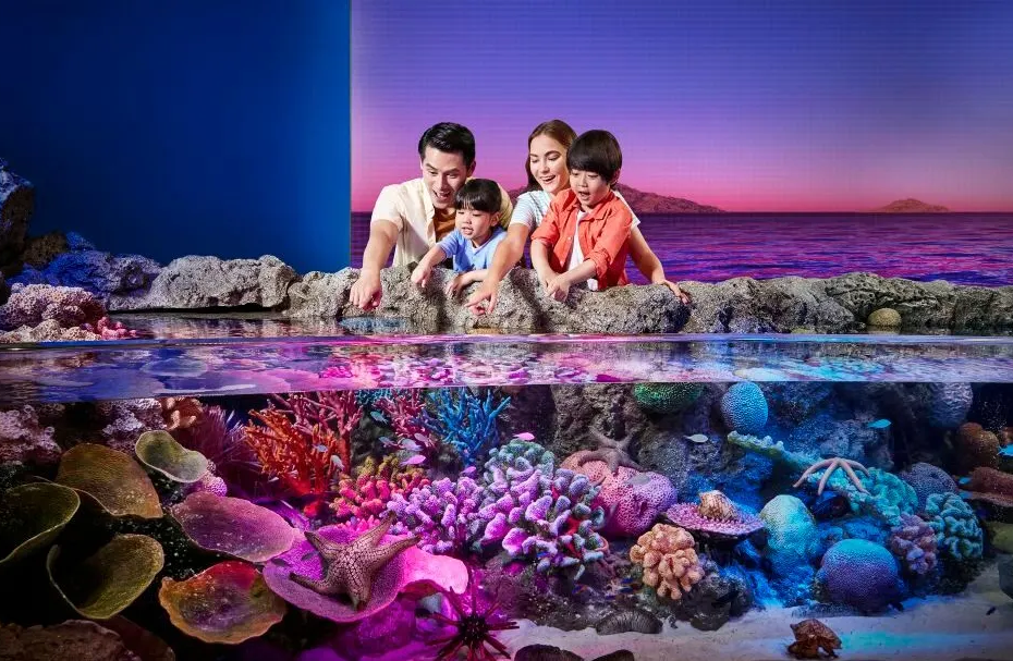 202510311612-5590911038.png 930-5.png